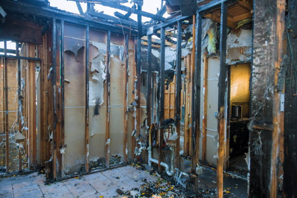 Professional Smoke Damage Removal technician working in Tulia, TX